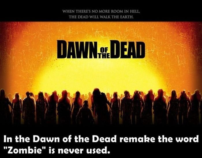 Actor Information & Behind-the-Scenes Facts: An Exclusive Deep Dive